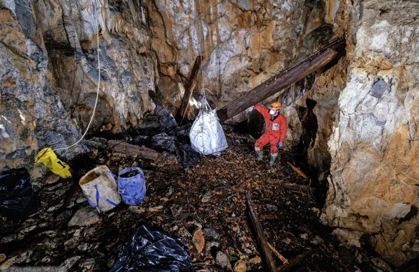 Od 40 jam, ki so jih popisali in pregledali, jih je 30 onesnaženih.