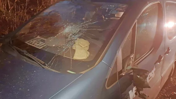 Ekipa italijanske  televizije RAI, ki pripravlja   prispevek ob dnevu 
spomina na fojbe in eksodus,   je obiskala grobišče  Vilenica pri 
Podpeči,  ob vrnitvi pa jih je čakalo neprijetno presenečenje: 
vandali so poškodovali njihova  vozila.    