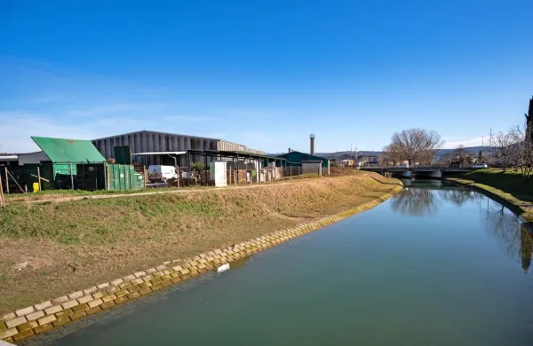 Nov pogled na KZ Agrario, potem ko je padlo okoli 70 dreves, ki naj 
bi ogrožala splošno varnost. 