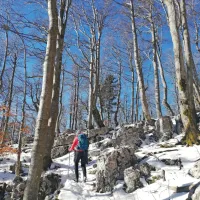 Hoja po zasneženem Trnovskem gozdu, nad tabo pa sinje modro nebo. Le kaj bi si 
človek lahko zaželel več?