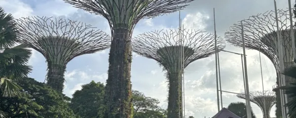 Gardens by the Bay - futuristična mešanica pravih in umetnih 
dreves