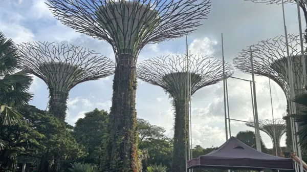 Gardens by the Bay - futuristična mešanica pravih in umetnih 
dreves