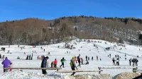 Lokve so bile za vikend polne obiskovalcev. Vlečnica ni delovala, 
so pa zato najmlajši vsaj sankali.  