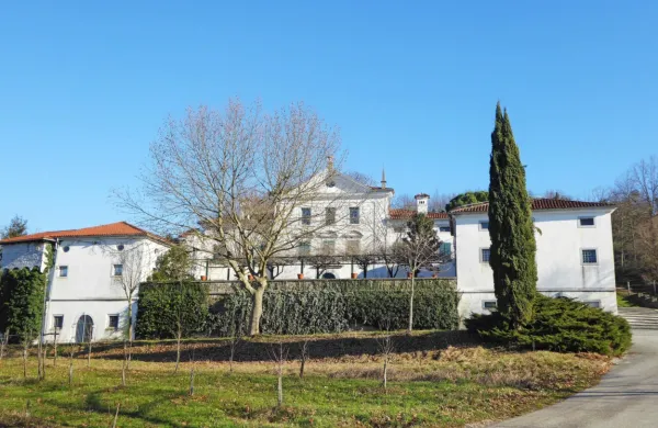 Občina ni uspela s tožbo dobiti  ne dvorca Vogrsko, ki ga ima v 
najemu podjetje nekdanjega župana Aleša Bucika,  ne 2,4 milijona  
najemnin za nazaj. 