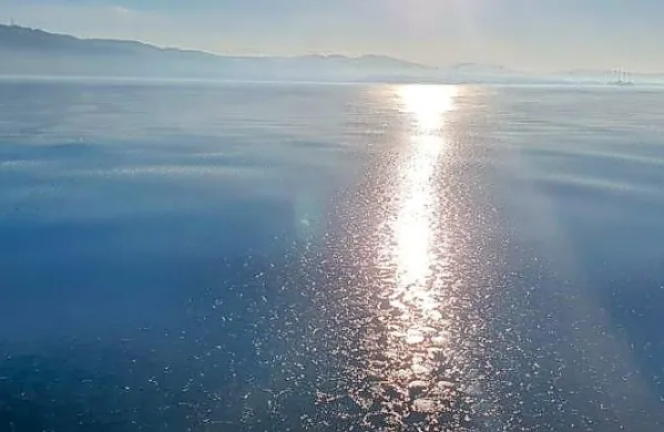 Tako je ujelo v objektiv tanjšo plast ledu, ki je prekrivala morje 
pred Miramarom, osebje Miramarskega morskega rezervata.