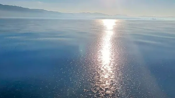 Tako je ujelo v objektiv tanjšo plast ledu, ki je prekrivala morje 
pred Miramarom, osebje Miramarskega morskega rezervata.