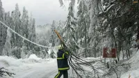 Tudi med Colom in Predmejo praktično ni bilo poti ali gozda, ki ne 
bi bil prizadet. 