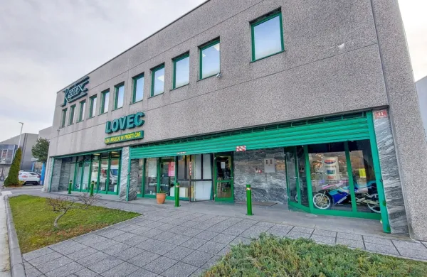 Vlomilci naj bi v zaprto trgovino zapeljali vzvratno s fiatom 500.