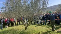 Lanski Hlajevi dnevi so na praktični del privabili številne oljkarje.