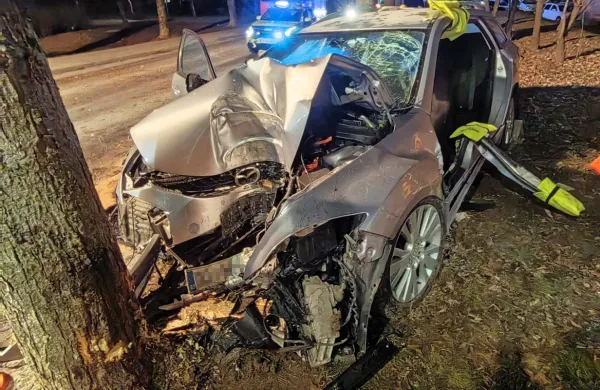 Siva mazda je silovito trčila in skoraj objela drevo.