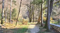 Občina  namerava polepšati  park v Podskali in obiskovalce ozaveščati o tukajšnji  prebivalki - človeški ribici.