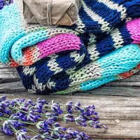  



Vonj sivke iz vaših omar prežene molje.