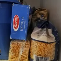 Molji imajo najraje moko, testenine, riž in suho sadje.