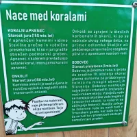  Po poteh vodi lik   fantiča, ki je  doma v ljudski pesmi Nace ima dolge tace.  