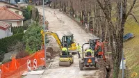 Ob prenovi Brunovega drevoreda drevesa na spodnji strani ceste 
niso zdržala, nadomestili jih bodo z novimi.  