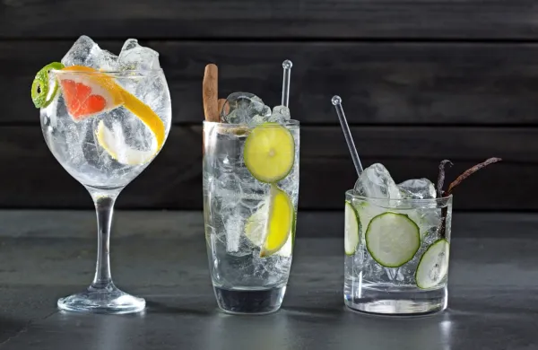 Kako pripraviti popoln gin tonik?