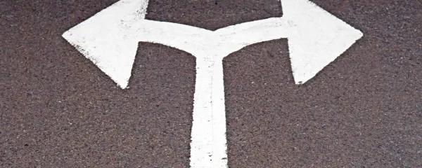 Kako bi živeli, če ne bi imeli dejavne civilne družbe?