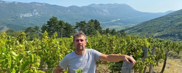 Z vinskimi sortami, ki so na nekem območju že stoletja, je najmanj 
težav, je prepričan vinar   Primož Lavrenčič. 