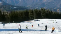 Širni razgledi na smučarskem centru Cerkno so to zimo bili, 
kompaktnega snega pa je bilo le za 34-dnevni smučarski vzorec.