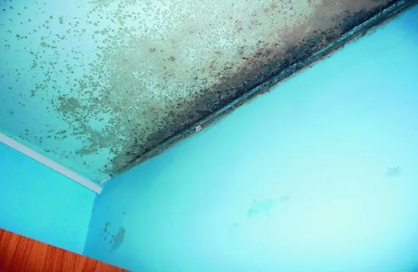 Vzrok za vlago  in posledično plesen so lahko tudi prenizke temperature 
v prostoru ali nezadostno prezračevanje.