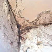 Pri sanaciji vlažnih sten v spalnici je treba rešitve tehtno premisliti, še prej pa odkriti, zakaj so stene v spalnici sploh vlažne 
oziroma, zakaj se na njih nabira plesen.