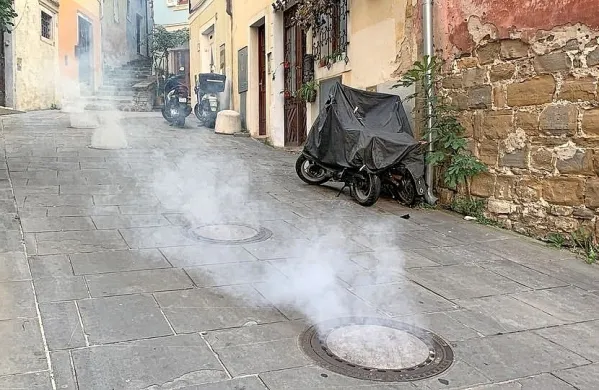 Ena od učinkovitih metod za zatiranje ščurkov je plinjenje jaškov  
javnega kanalizacijskega omrežja.