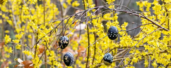 Kje se najdeš, v kateri vlogi se prepoznaš?