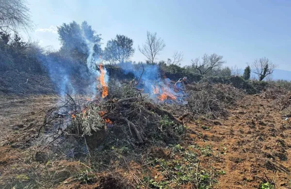   Na vprašanje, kako morajo zdaj postopati lastniki zemljišč, ki bodo 
kurili naravne ostanke na svojih parcelah, so z uprave za zaščito in 
reševanje odgovorili, da tako kot doslej. Prijavitelji pokličejo na 112 in 
prijavijo kurjenje.