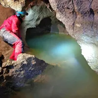 Novo najdišče jamskega medveda v Posočju