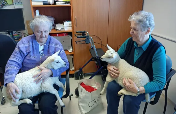 Med stanovalce doma za starejše so pripeljali ovčke, koze, kokoši, 
pse ...