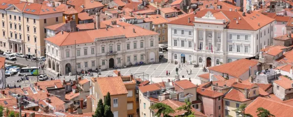   Družina Petronio je bila starega porekla, v listinah in notarskih 
knjigah ji je mogoče slediti v 13. stoletje, ugotavlja zgodovinarka 
dr. Darja Mihelič.