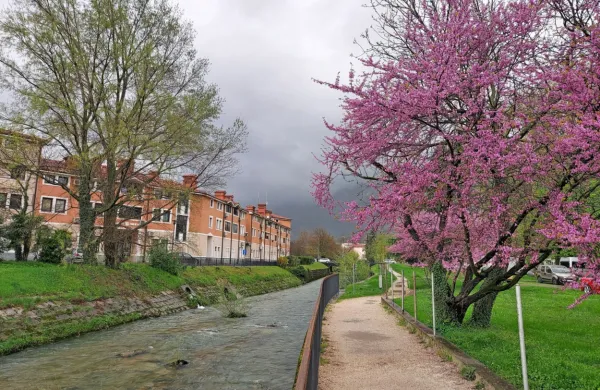 Šturski park nameravajo z brvjo za pešce in kolesarje povezati s 
poslovno stanovanjskim kompleksom C2 na zahodnem bregu 
Hublja. 