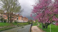 Šturski park nameravajo z brvjo za pešce in kolesarje povezati s 
poslovno stanovanjskim kompleksom C2 na zahodnem bregu 
Hublja. 