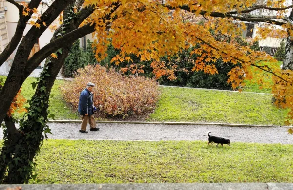 Letošnji svetovni dan zdravja se osredotoča na neenakosti v 
zdravju.