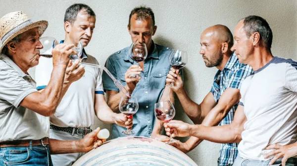Aleš, Robert, Ivan, Patrik in Benjamin Komjanc s tradicionalne kmetije v Jazbinah, na kateri ob vinu pridelujejo še oljčno olje.  