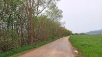 Največ zelenih protivetrnih pasov bodo zasadili na Ajdovskem 
polju.  