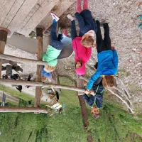 (FOTO) Zaokrožili so Festival soške postrvi