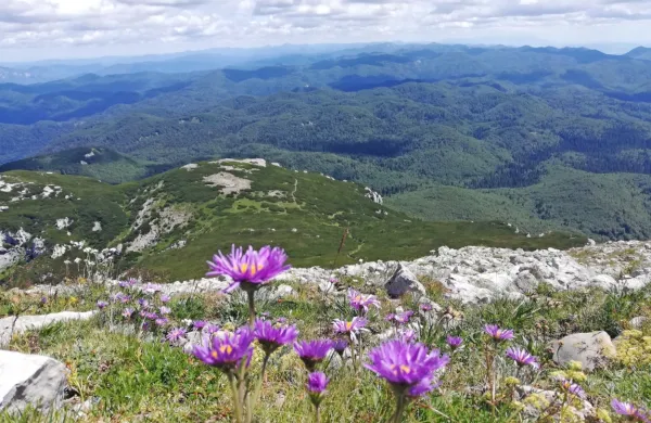 Če bi torej vsi na svetu živeli kot Slovenci, bi potrebovali 3,4 
planeta v velikosti Zemlje, da bi zadovoljili svoje potrebe po 
naravnih virih.