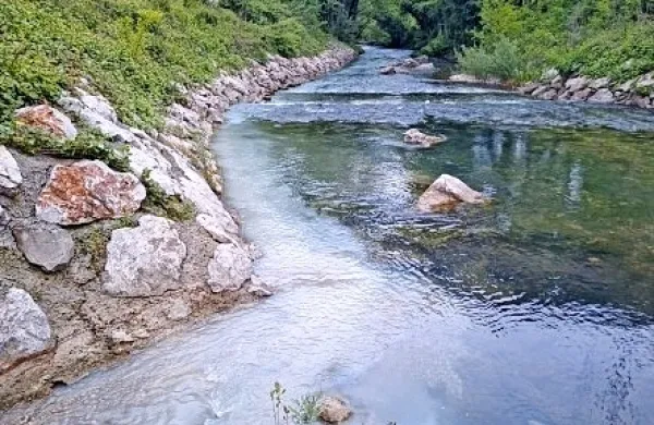 Onesnaženje je odkrila EKO patrulja AAG. Potok je bil bel. 
Fotografija je  posneta na mestu, kjer se Žaneštra izliva v reko 
Rižano.