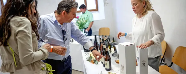 Kulinarični mesec Okusi Vipavske letos poteka od 19. aprila do 20. 
maja, ko bo vrhunec istoimenskega festivala z osrednjim dogodkom v baročnem dvorcu Lanthieri v srednjeveškem jedru 
Vipave. Na fotografiji je utrinek z lanske prireditve.