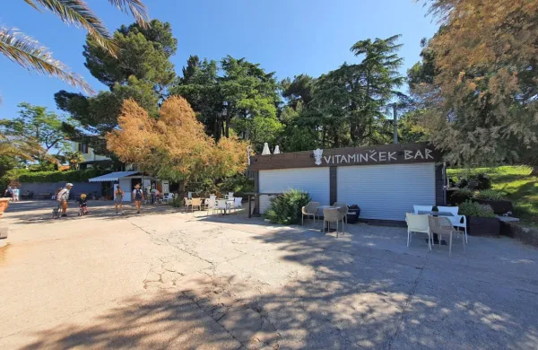 Če je najemnica v prejšnjem petletnem obdobju za najemnino na 
leto odštela 26.150 evrov, je po licitaciji ta skočila na več kot 
50.000 evrov na leto. 