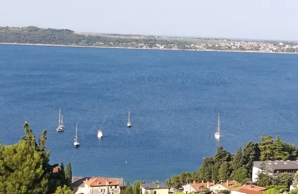 Če bi sodniki v Strasbourgu pritožbi ribičev ugodili,  bi  na neki 
način vendarle legitimirali tudi arbitražno razsodbo.