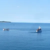 Na ESČP je približno 20 slovenskih ribičev vložilo 131 pritožb.