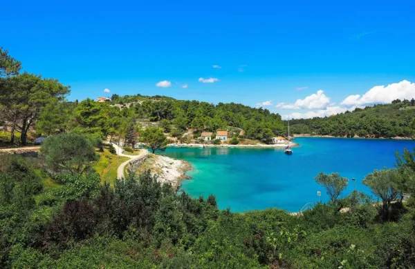 Ob koncu stoletja bodo gozdovi v Sloveniji takšni kot na Lošinju, 
kažejo prognoze.