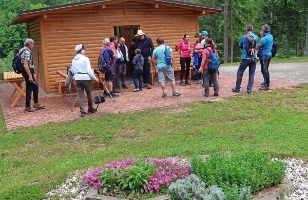 Dobrih 13 kilometrov dolg Medeni krog v Kanomlji se začne (ali konča) 
med lepo urejenimi čebelnjaki z apiterapijo. 