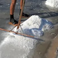 Tradicionalno pridobivanje morske soli v Sečoveljskih solinah