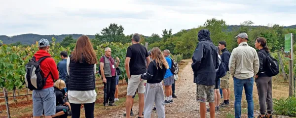 Jutri bo na Krasu živahno, poskrbljeno bo tudi za vodene pohode 
in kolesarjenje. 