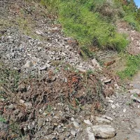 Poplavilo Tartinijev trg v Piranu, pešpot med Piranom in Fieso je zaprta