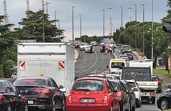 Gneče niso povzročali le turisti, ampak tudi - laboda