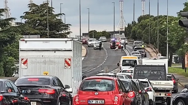 Gneče niso povzročali le turisti, ampak tudi - laboda